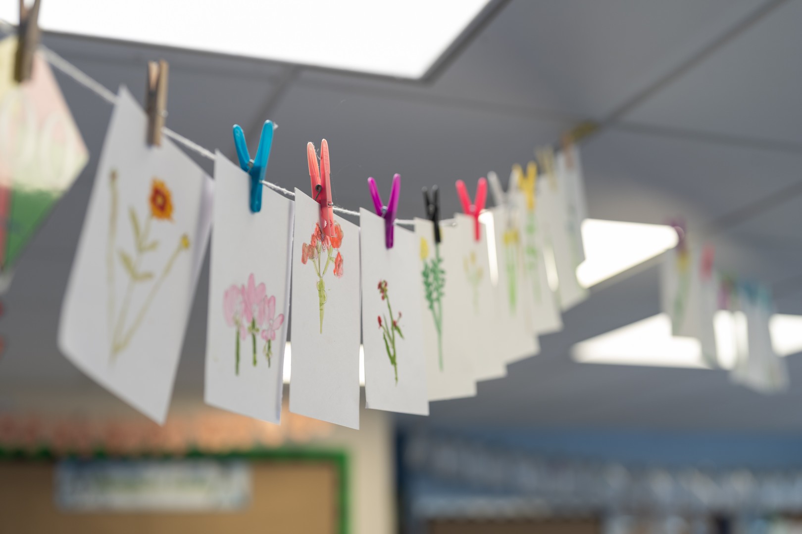 A washing line of children's wild flower paintings 