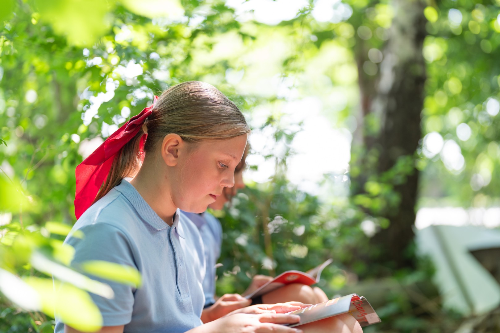 Child reading in woodland area.
